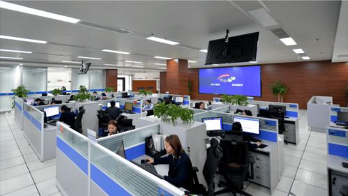 四川12366热线年度咨询量突破300万，信息技术咨询服务成焦点