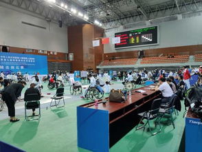 信息技术团队保障赛会注册与竞赛信息服务