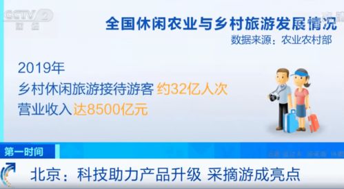 科技助力产品升级，信息技术咨询服务驱动采摘游成新亮点